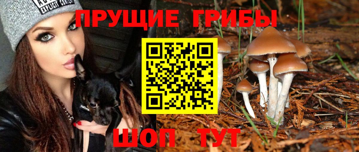 Галлюциногенные грибы GOLDEN TEACHER Городец